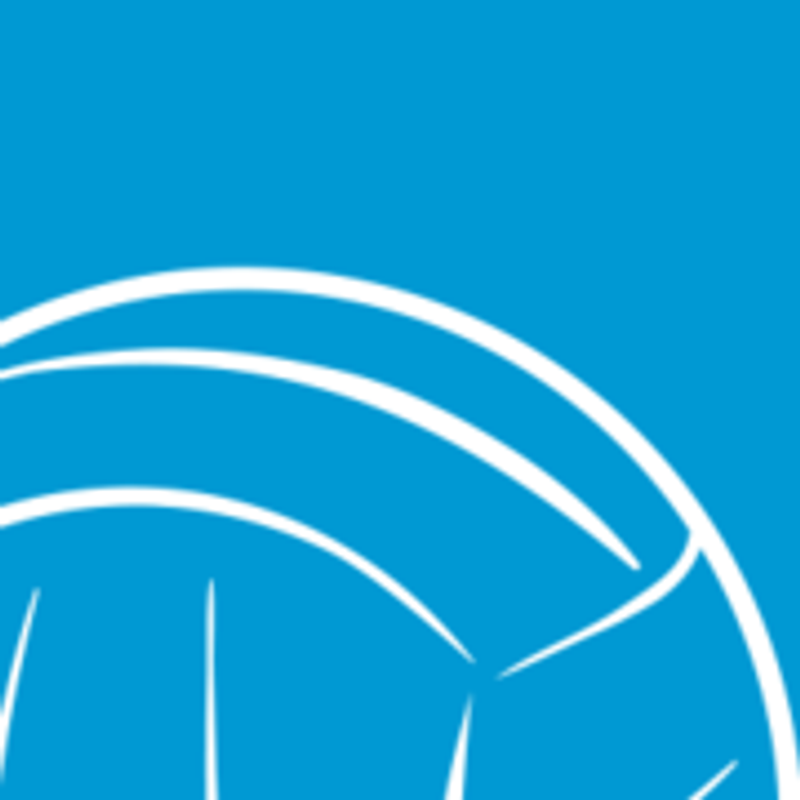 Volleyballdirekt Logo