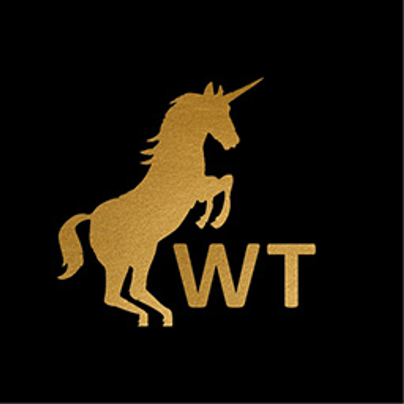 Walter Temmer Logo