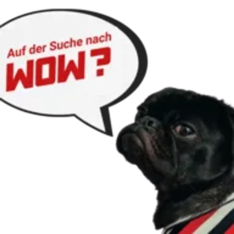 Wandneu Logo