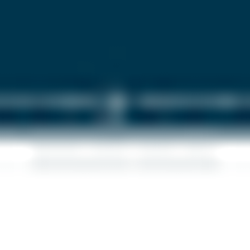 Waniek Partner Logo