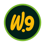 Wasil Website Netlify Logo