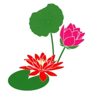 Bennetts Waterlily Plants Logo