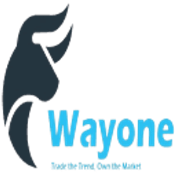 Wayonecapital Logo