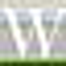 WDPX Marketing Webdesign Logo
