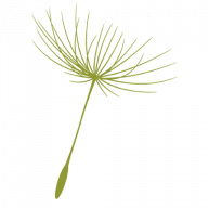 Webel & Eggert Bestattungshaus Logo