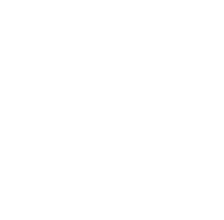 WEBER Group GmbH Logo