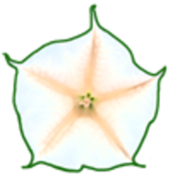 WeberSeeds Logo