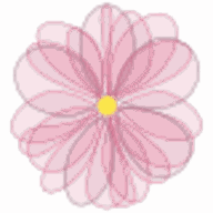 Webnatur Logo