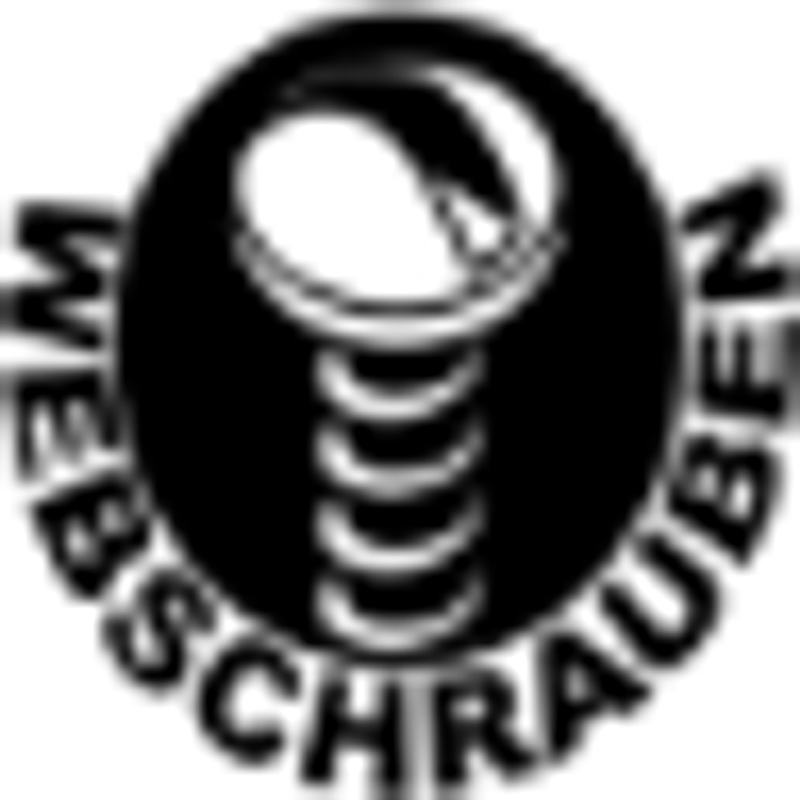 Webschrauben Logo