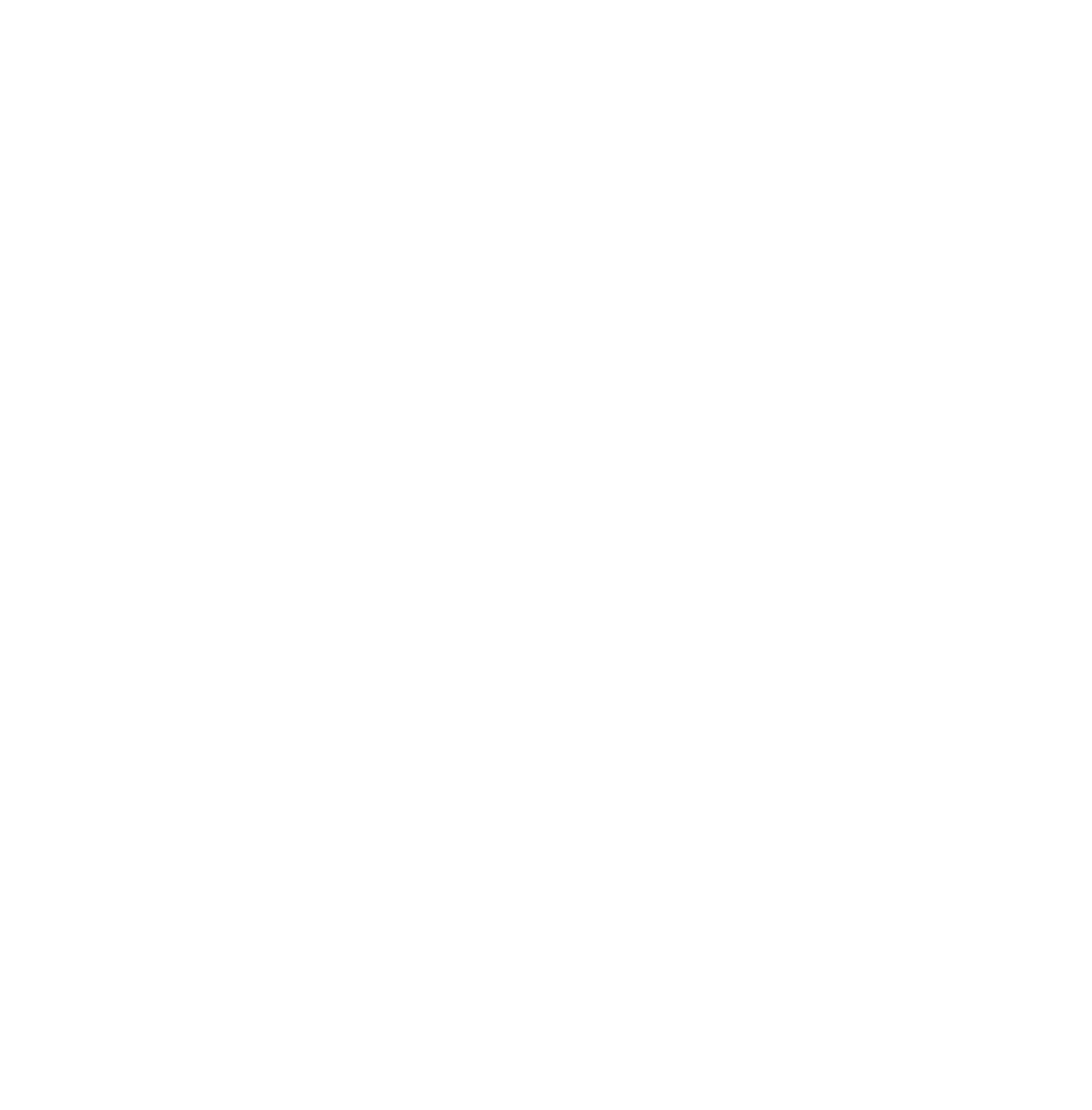 WebsiteAnalysten Logo