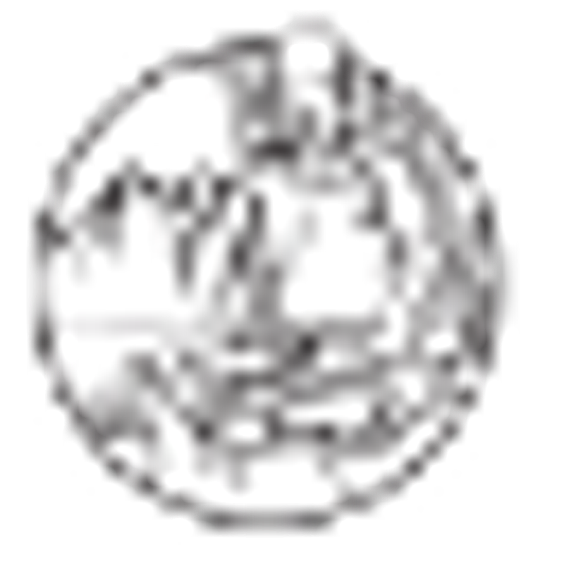 Praxis Alexander Tremer Logo