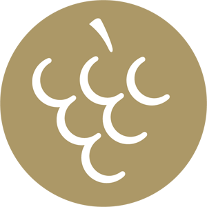Wein Wert Logo