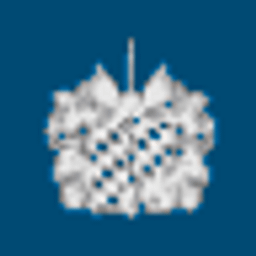 Blaul Wilhelm u. Sohn Weingut Logo
