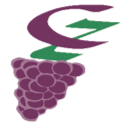Besenwirtschaft u. Weingut Czech Logo