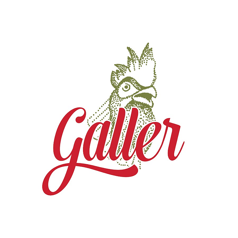 Weingut Ansgar Galler Logo