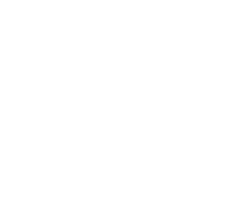 Lösch Erwin Weingut Logo