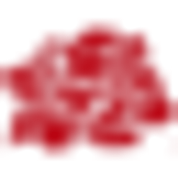 Rosenhof Weingut Logo