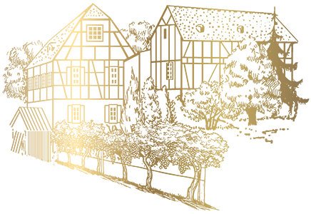 Müller Toni Weinbau Weinversand Logo