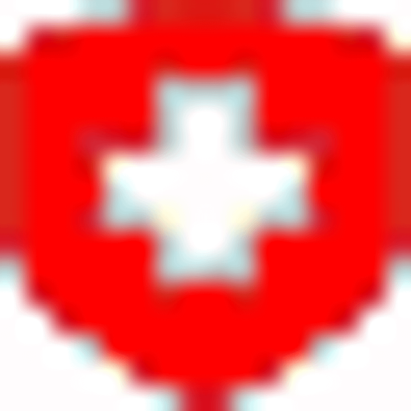 Wellensteyn Logo