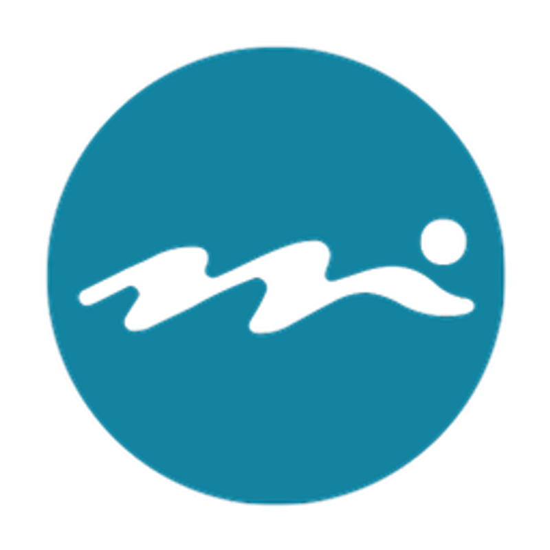 Wellnow Logo