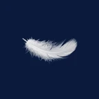 Welluna Logo