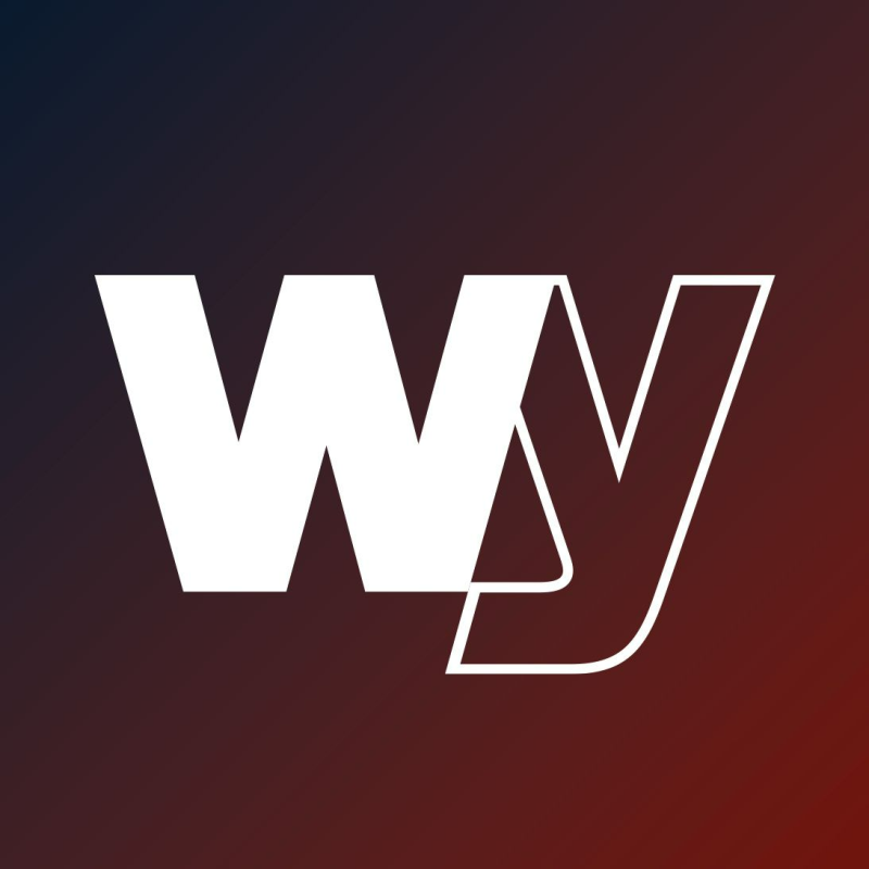 wellyou.eu Logo