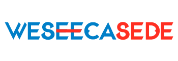 Weseecasede Logo