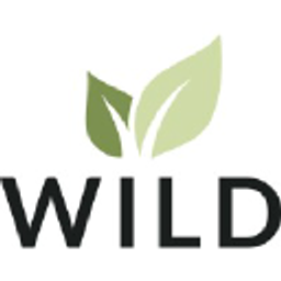 Wild41 Logo