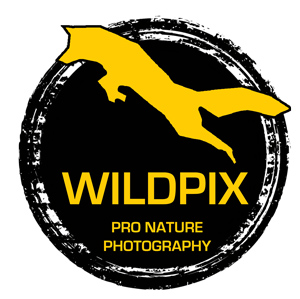 Wildpixtravel Logo