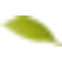 wilkendorf-tee.de Logo