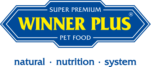 Winnerplus Logo