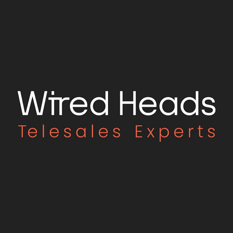 Wired Heads by 94/100 Distribution GmbH Logo