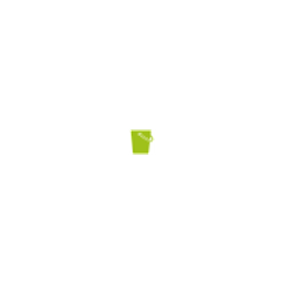 Wisch-star.de Logo