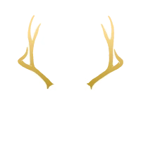 Witchling Workshop Logo