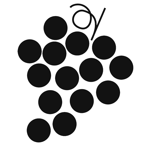 Witt & Co. GmbH, H. M. Weinimport GroßHdl. Import Export Logo