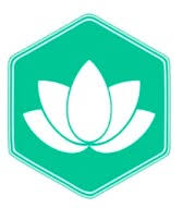 wohlfuhlkurse.de Logo