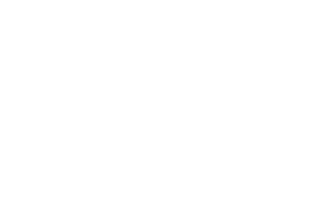 Wolf Gerhard Weingut Logo