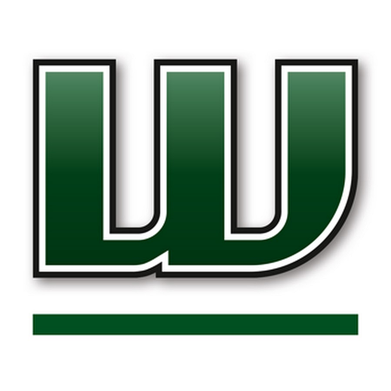 Woodstore24 Logo