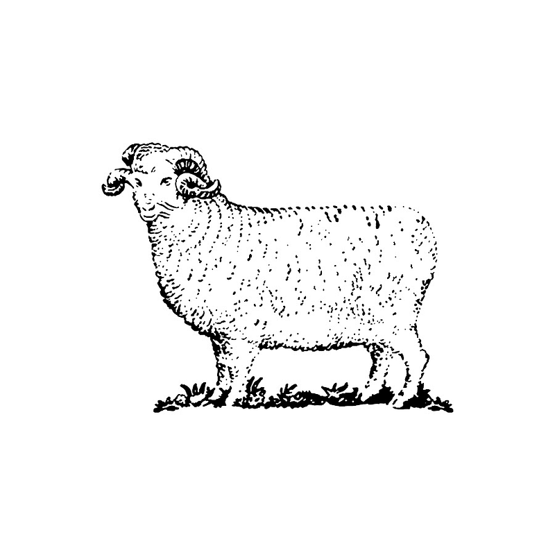 Woolrich JR&B Logo
