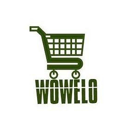 Wowelo.com Logo