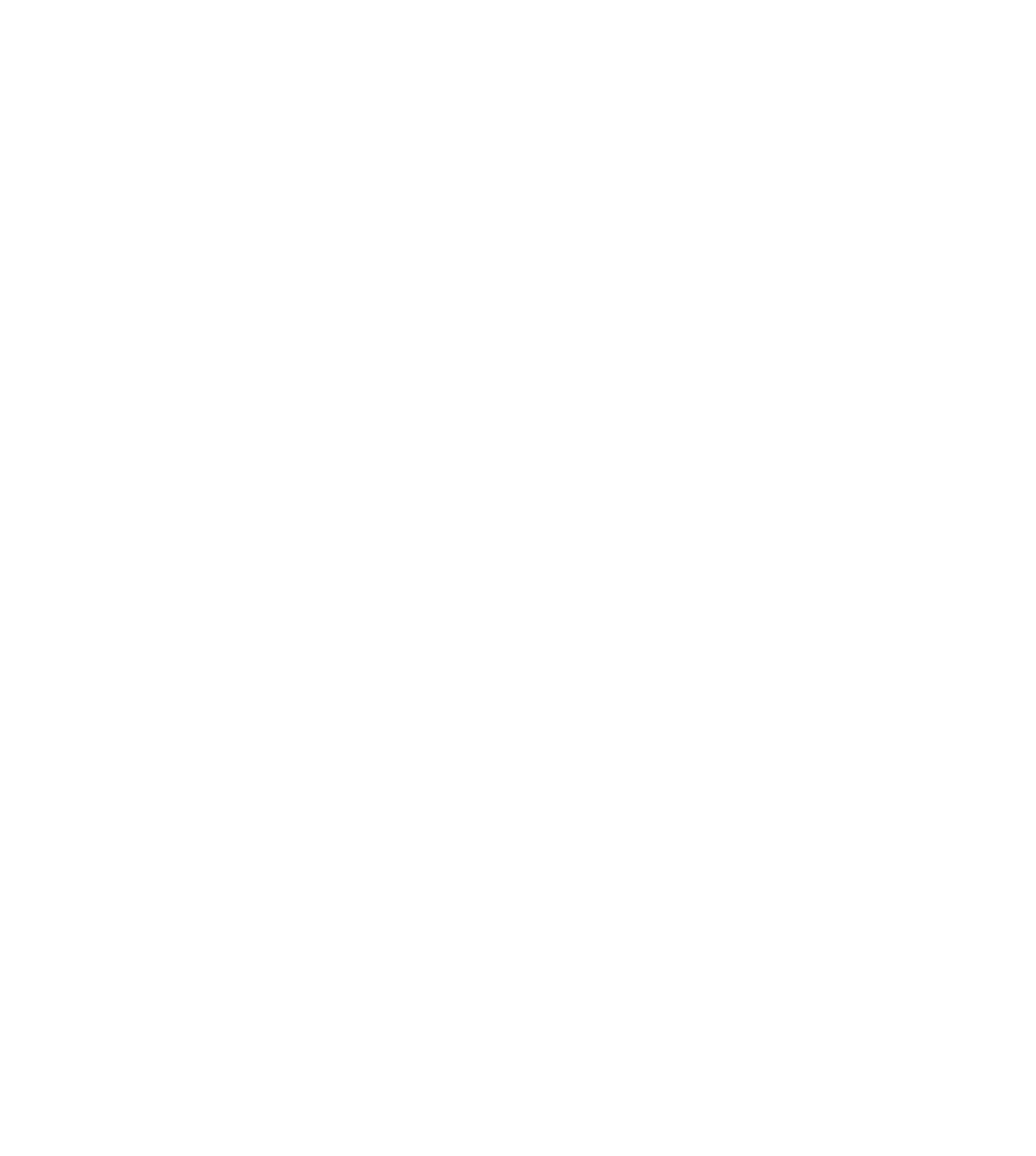 Wohlfeld & Wirtz GmbH & Co KG Logo