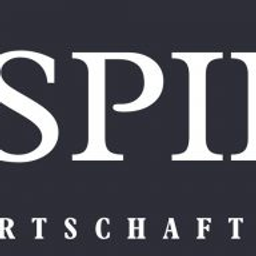 Spies Verena Wirtschaftsprüfung Logo