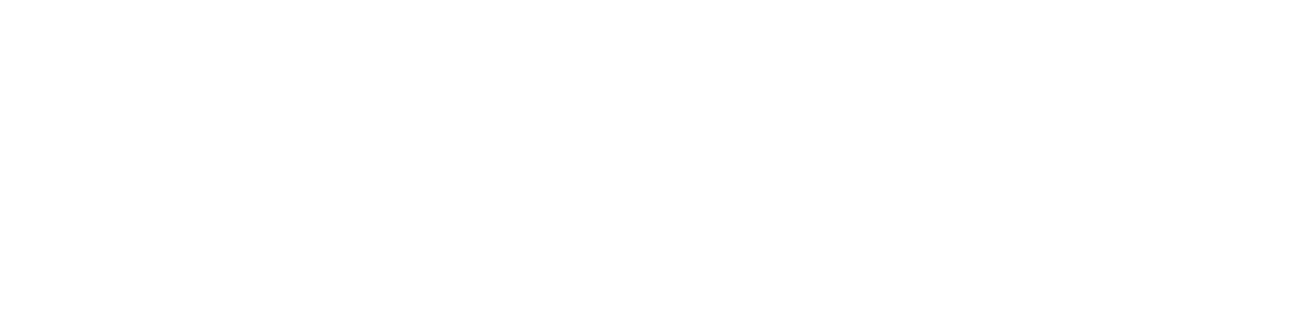 Tepe Stefan Witschaftsprüfer/Steuerberater Logo