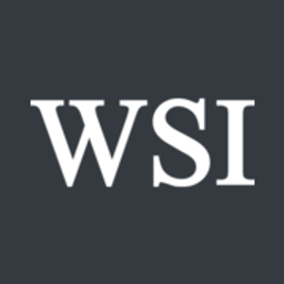 WSI Capital Logo