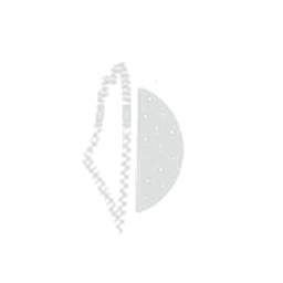 Wtrmelon Logo