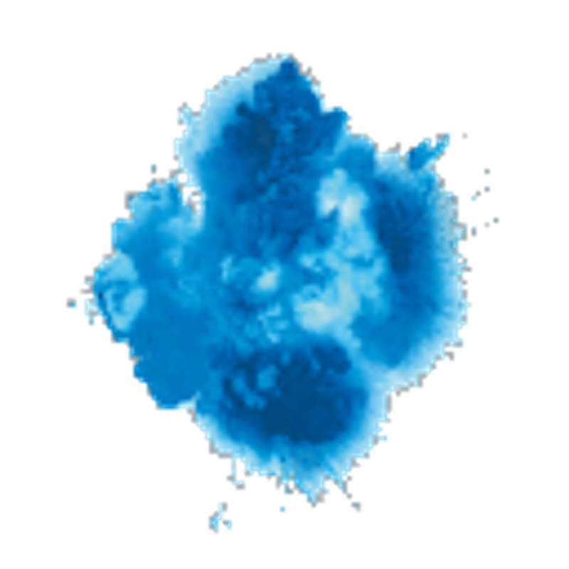 WunderRein Allesreiniger Logo