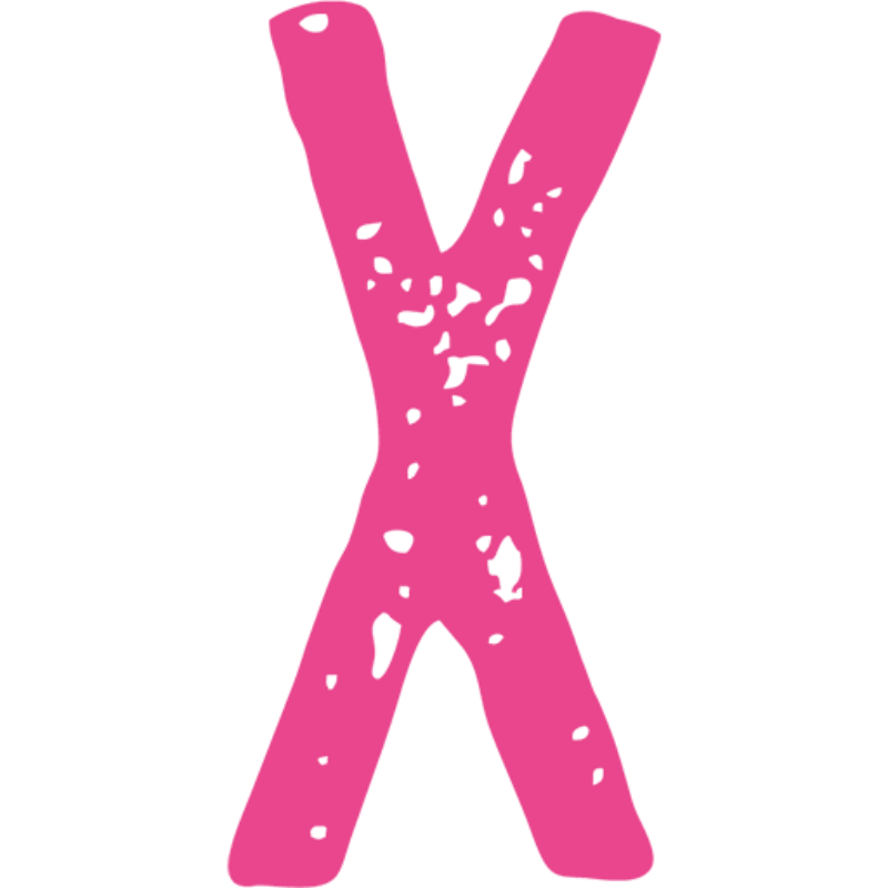 Xclusive Car Styling - Lackierung & KFZ-Instandsetzung Logo