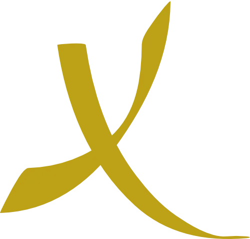 Xentair International Ltd Logo