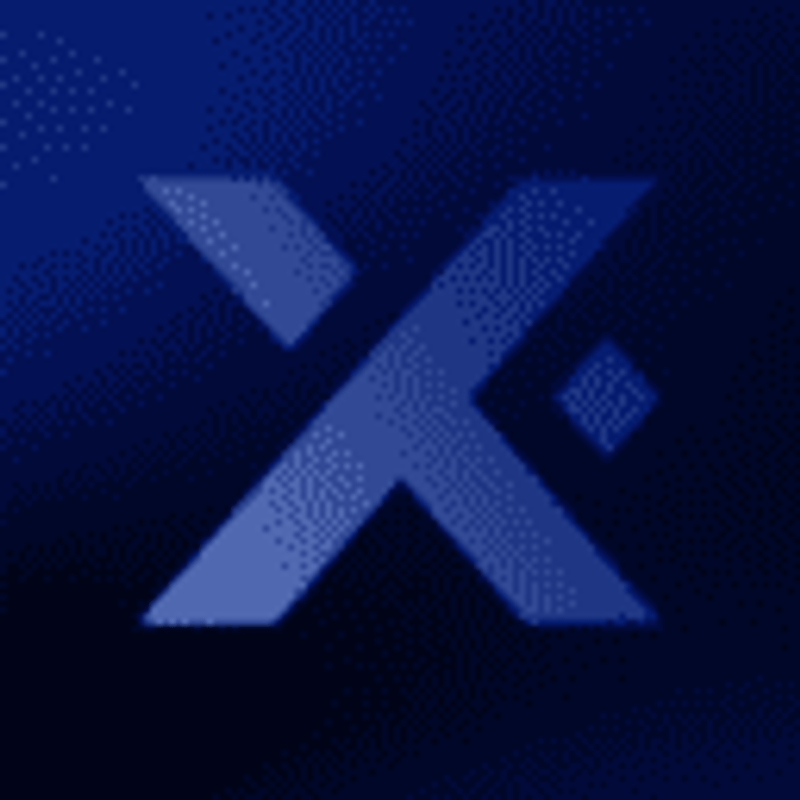 XLINGUA Logo