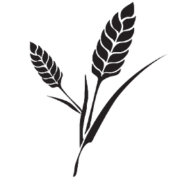 Yao Secret Logo